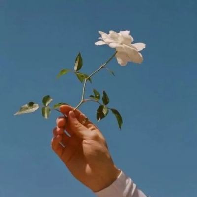 中国电动公交车在拉美受青睐